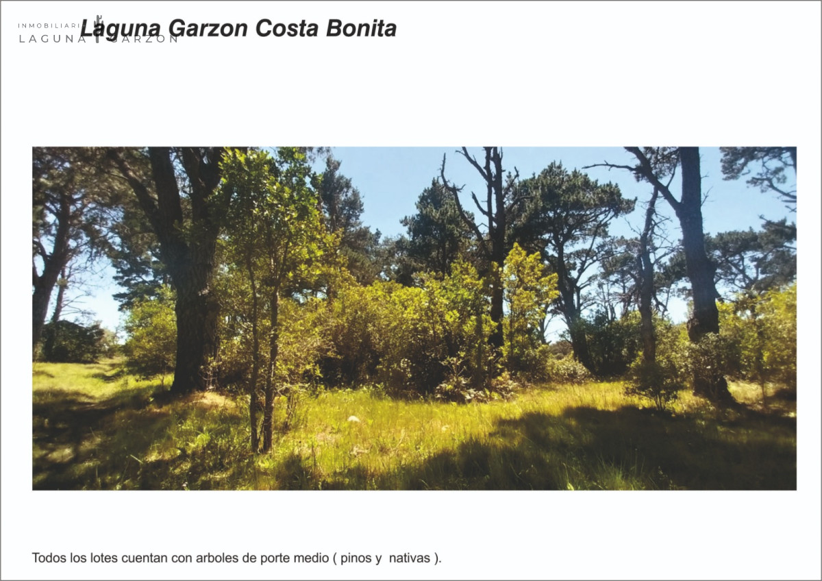 Terreno ID.11 - Costa Bonita LAGUNA GARZÓN 2000mts