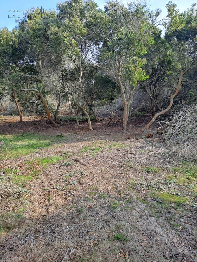 Terreno ID.19 - Terreno de 1200mts en Laguna Garzón