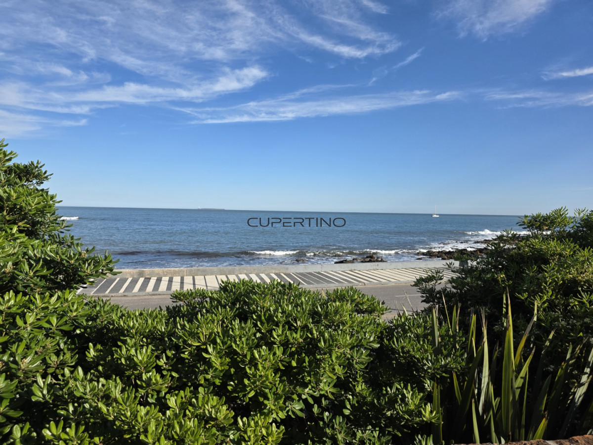 Apartamento ID.393 - Apartamento en Peninsula frente al mar