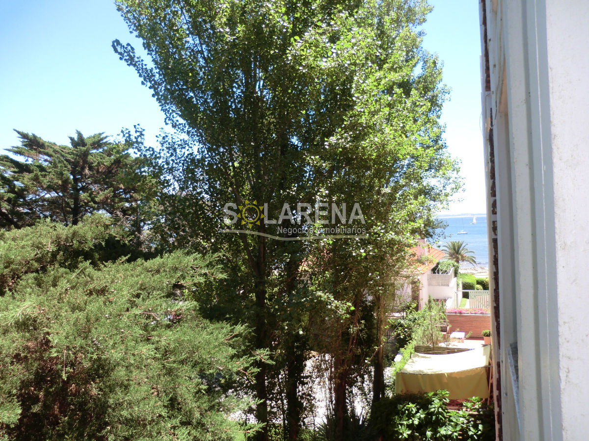 Apartamento ID.486 - Apartamento en Punta del Este, Península