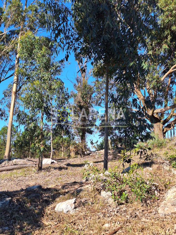 Casa ID.6554 - CASA EN VILLA SERRANA CON DOS `PADRONES INDEPENDIENTES JUNTOS Y POZO DE AGUA