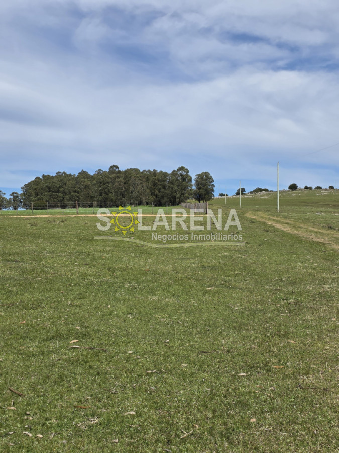Campo Ref.6639 - Campo Agrícola Ganadero en Maldonado