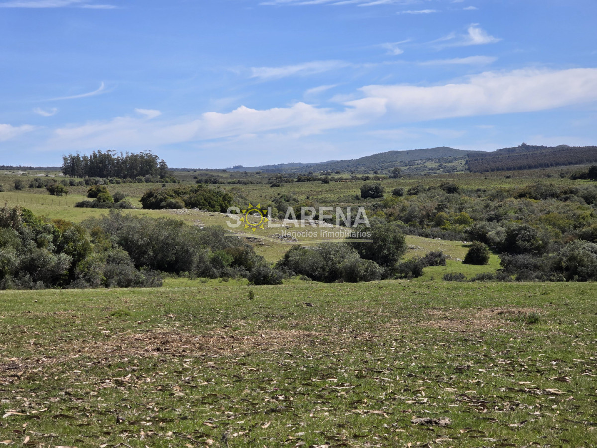 Campo Ref.6639 - Campo Agrícola Ganadero en Maldonado