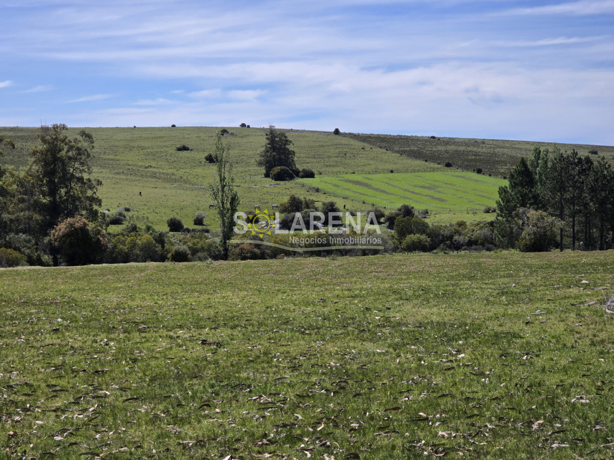 Campo Ref.6639 - Campo Agrícola Ganadero en Maldonado