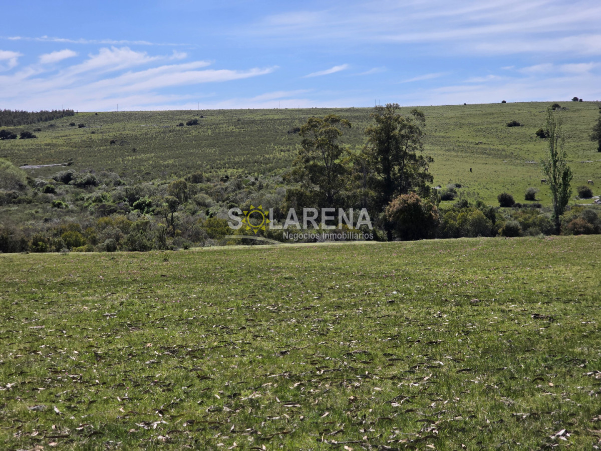 Campo Ref.6639 - Campo Agrícola Ganadero en Maldonado