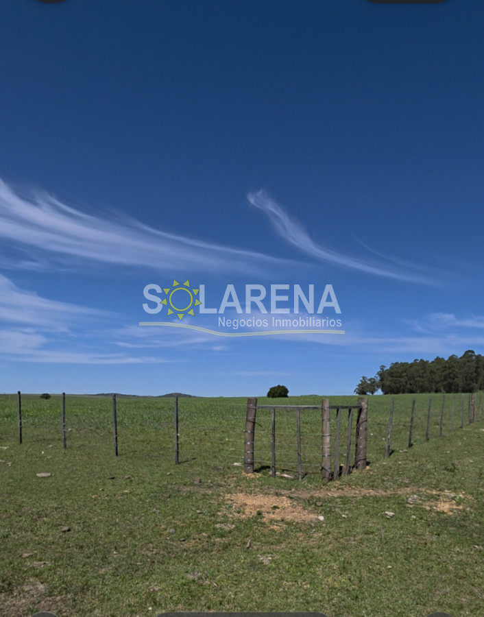 Campo Ref.6639 - Campo Agrícola Ganadero en Maldonado