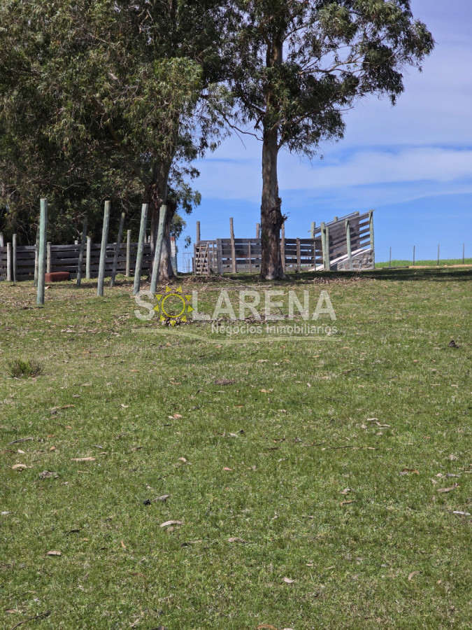 Campo Ref.6639 - Campo Agrícola Ganadero en Maldonado