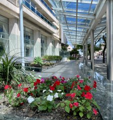 Venta Apartamento 3 Dormitorios en Buceo - Piso Alto con Parrillero, Garaje y Amenities