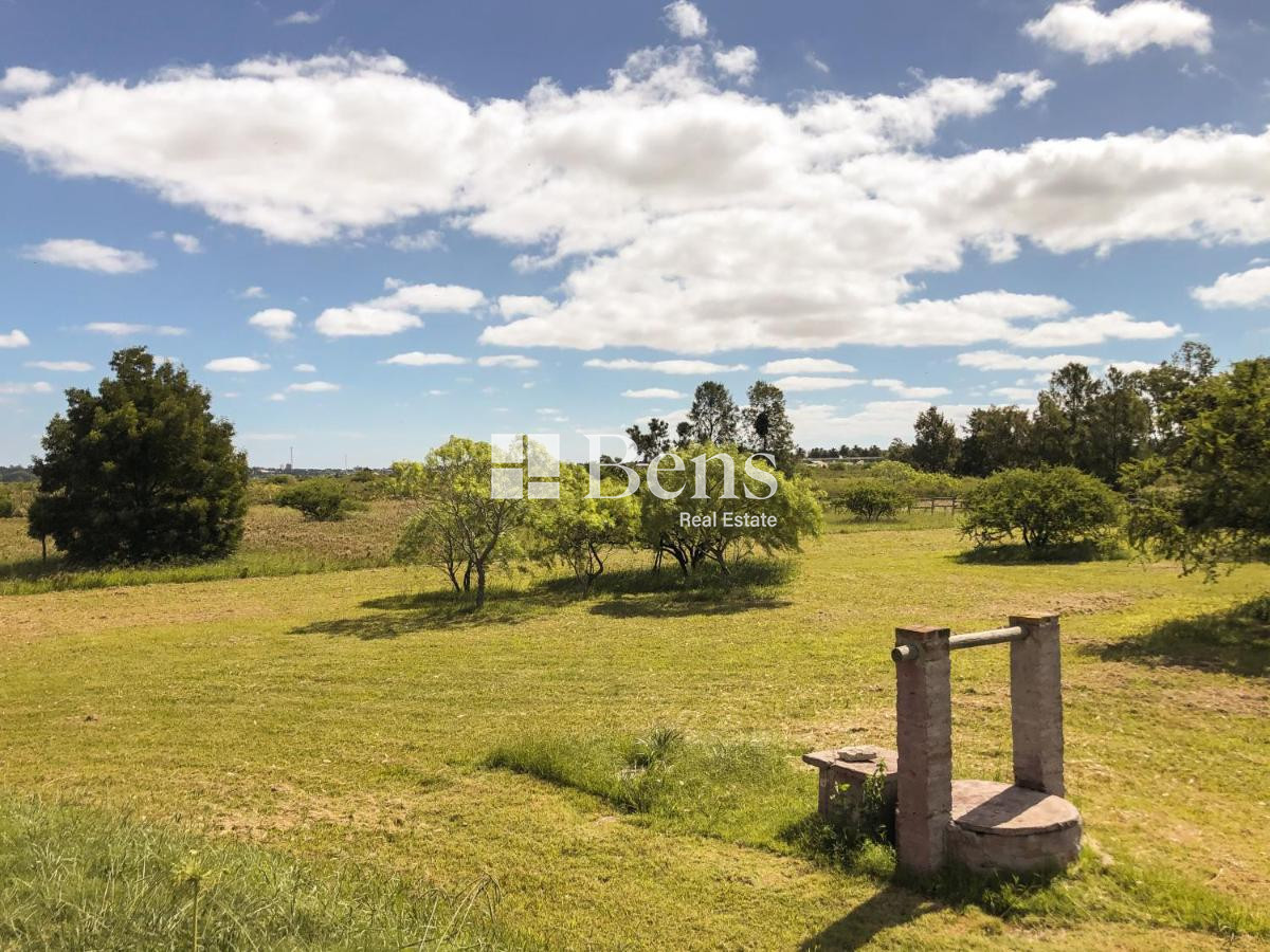 Casa ID.455 - Alquiler - Casa - 3 Dormitorios - Colonia del Sacramentos - Uruguay