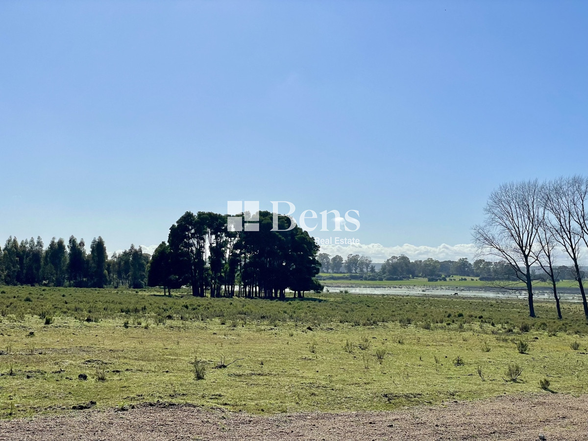 Terreno ID.509 - VENTA - LOTEO - BELLO HORIZONTE