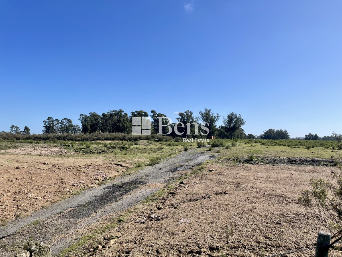 Terreno ID.509 - VENTA - LOTEO - BELLO HORIZONTE