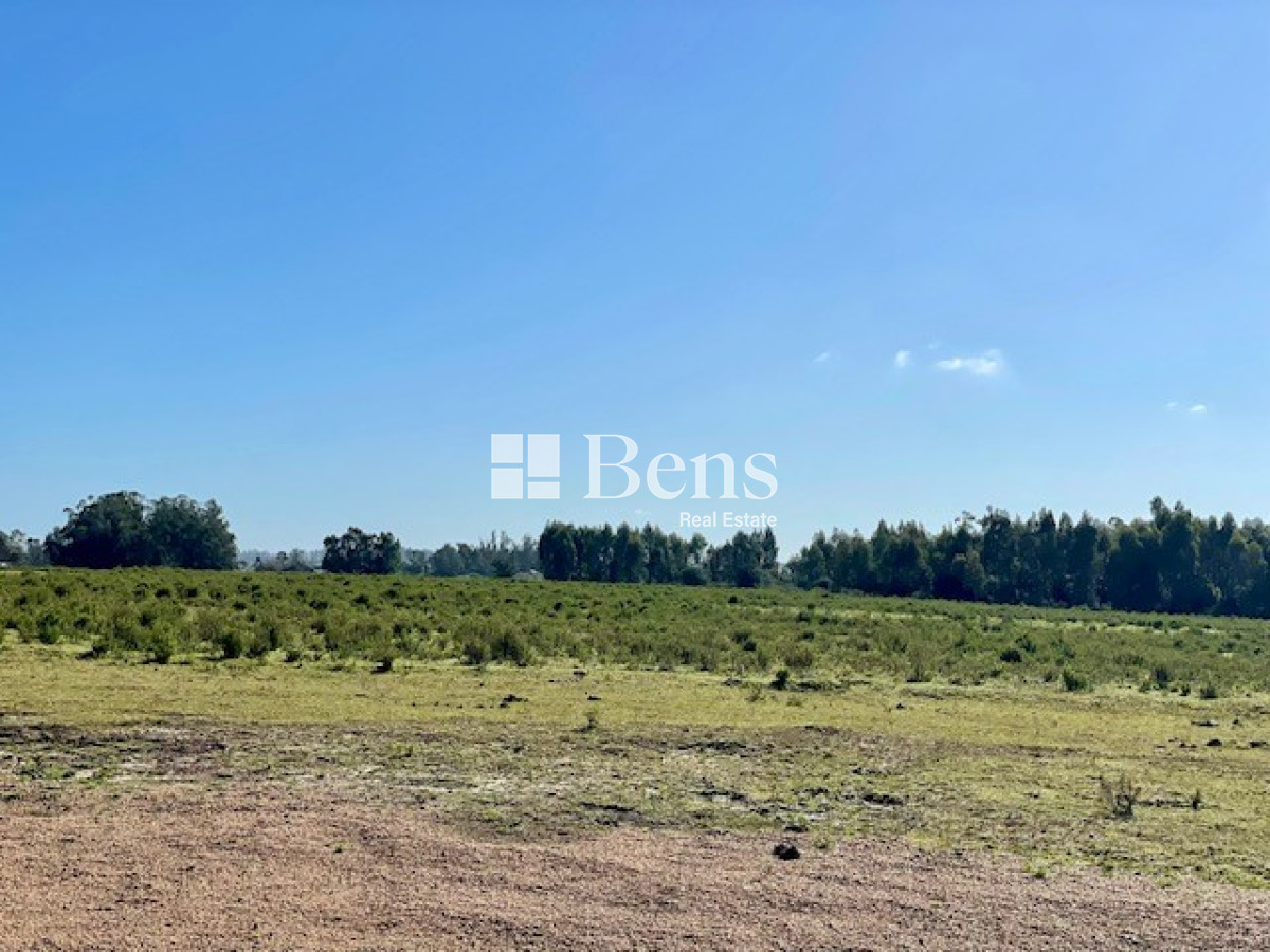 Terreno ID.509 - VENTA - LOTEO - BELLO HORIZONTE