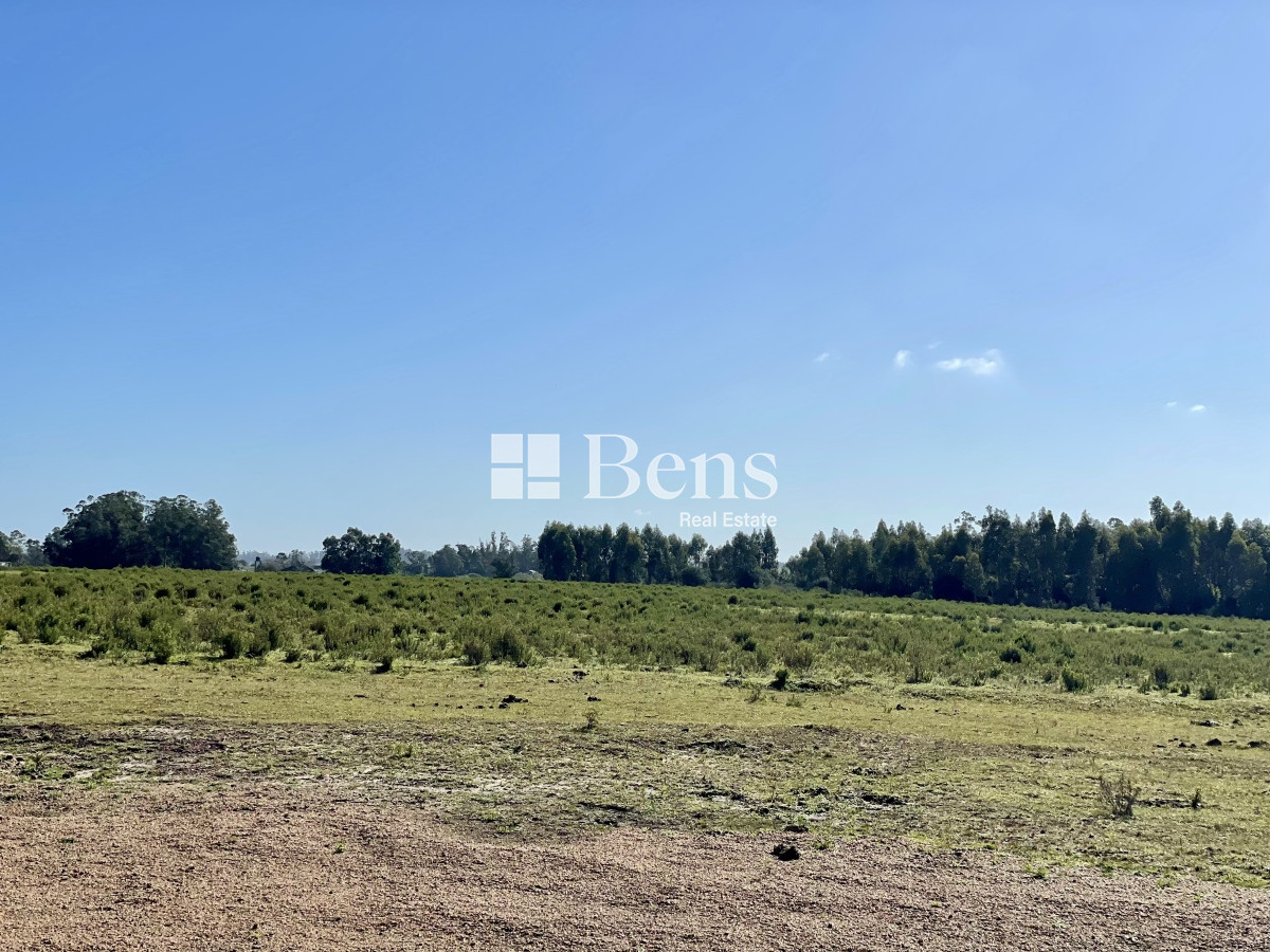 Terreno ID.509 - VENTA - LOTEO - BELLO HORIZONTE