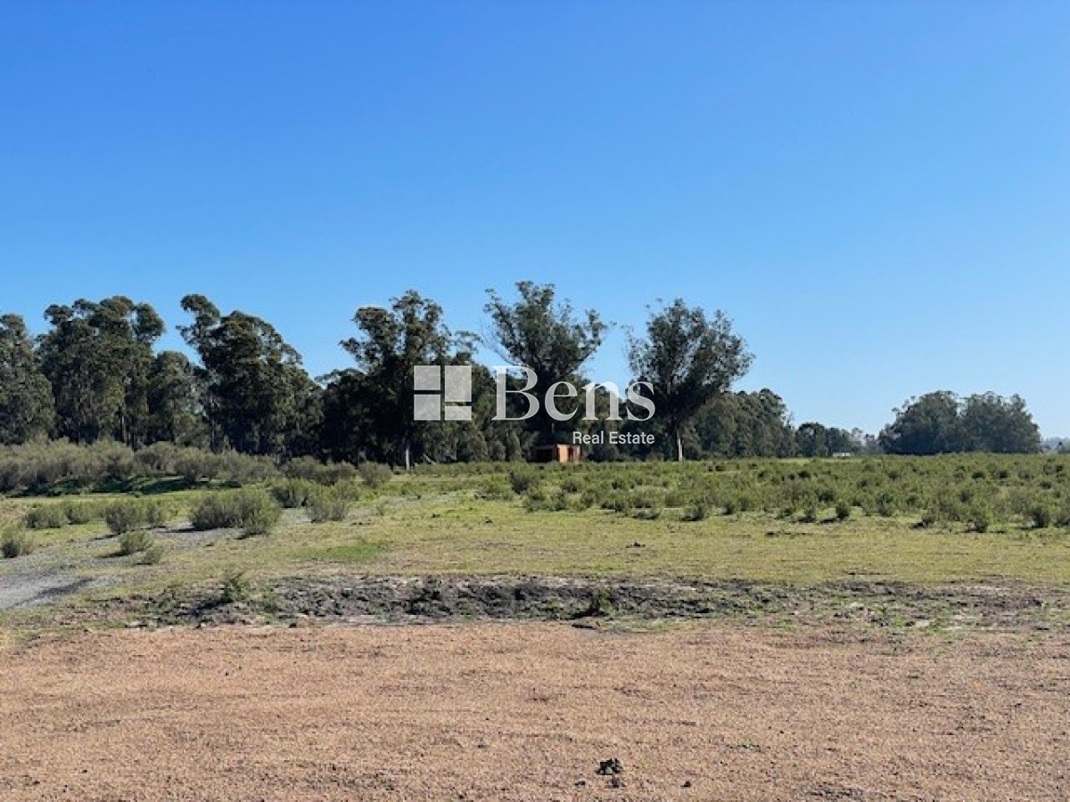 Terreno ID.509 - VENTA - LOTEO - BELLO HORIZONTE