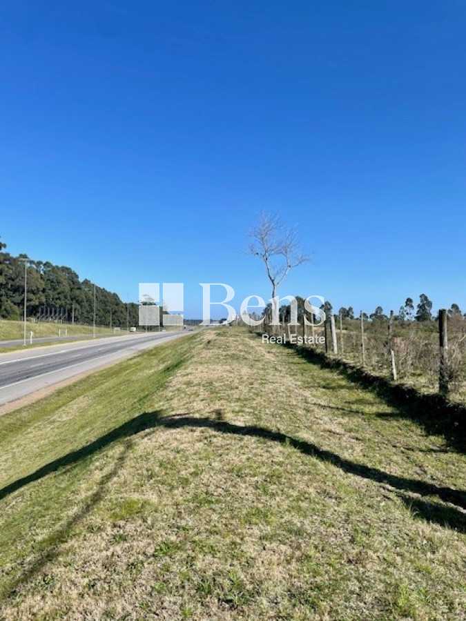 Terreno ID.509 - VENTA - LOTEO - BELLO HORIZONTE