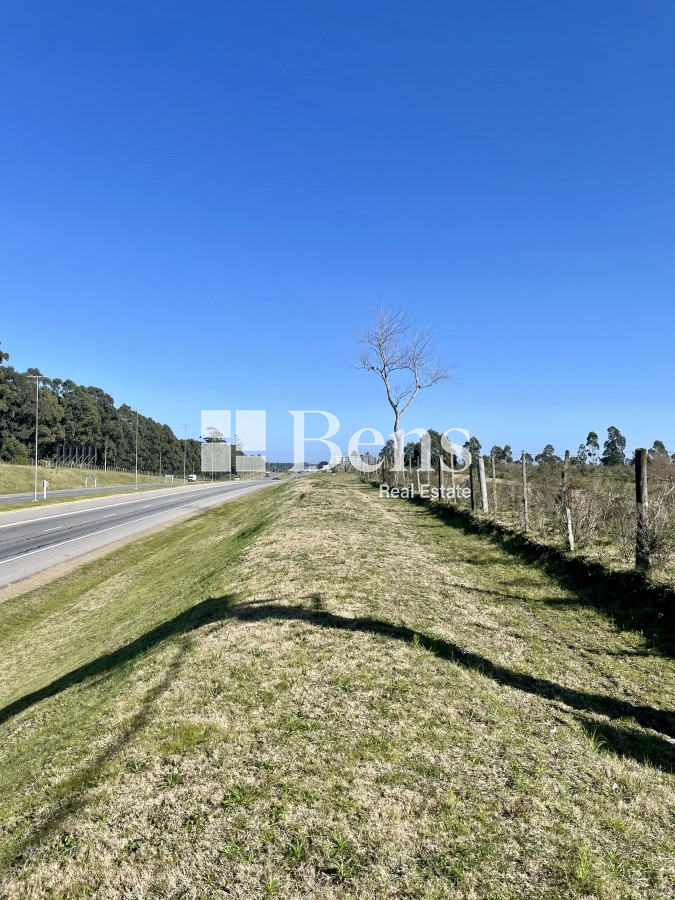 Terreno ID.509 - VENTA - LOTEO - BELLO HORIZONTE