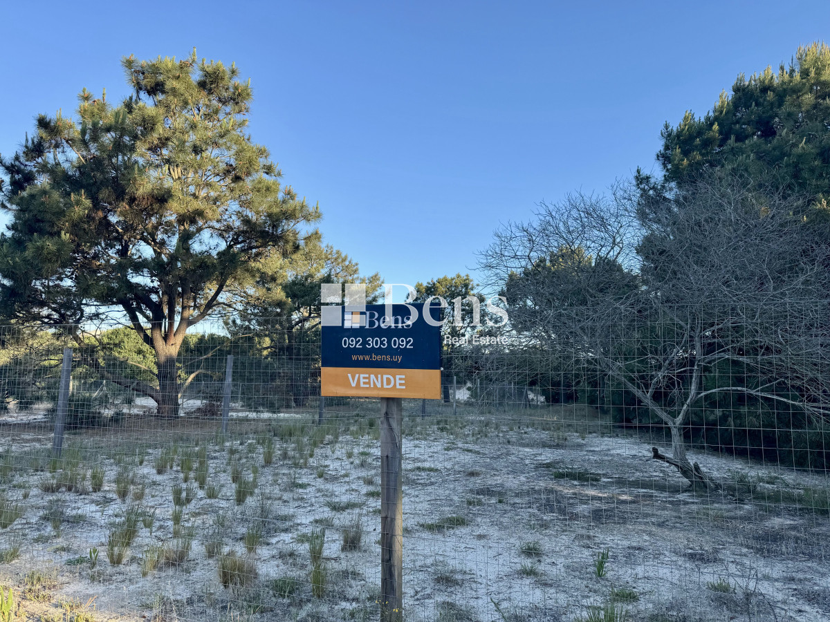 Terreno ID.517 - VENTA - LOTE EXCELENTE UBICACIÓN - FRENTE AL MAR - PUNTA PINAR - EL PINAR