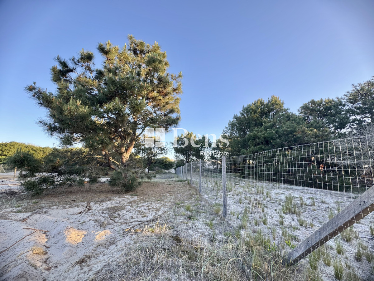 Terreno ID.517 - VENTA - LOTE EXCELENTE UBICACIÓN - FRENTE AL MAR - PUNTA PINAR - EL PINAR