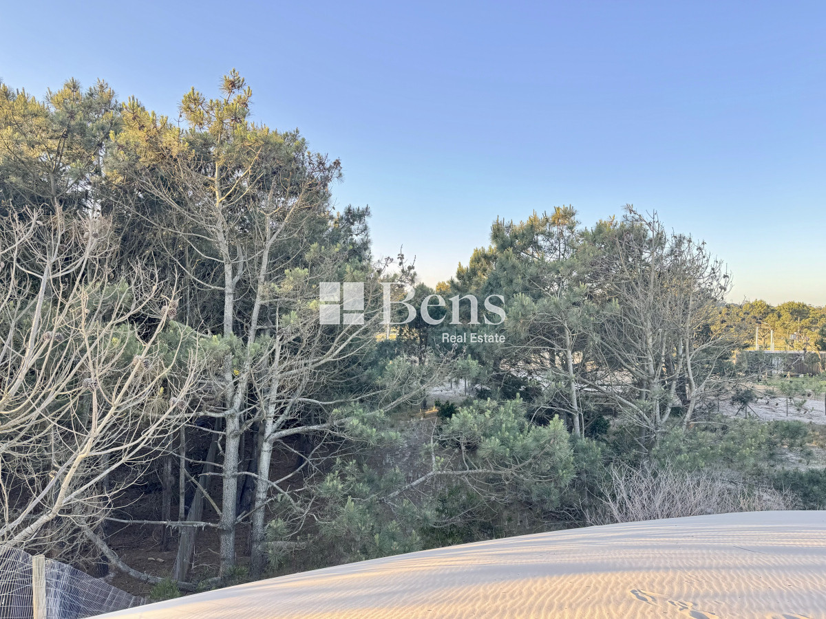 Terreno ID.517 - VENTA - LOTE EXCELENTE UBICACIÓN - FRENTE AL MAR - PUNTA PINAR - EL PINAR
