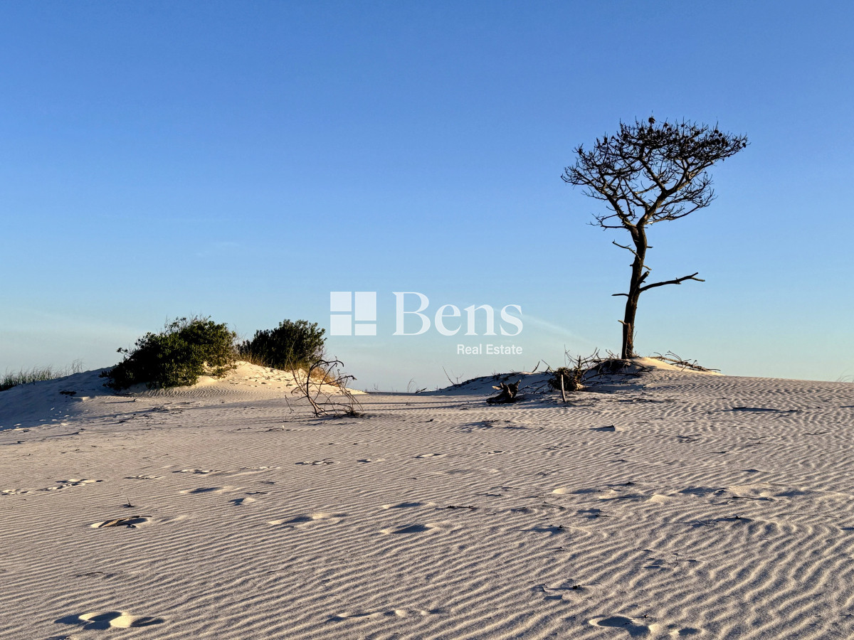 Terreno ID.517 - VENTA - LOTE EXCELENTE UBICACIÓN - FRENTE AL MAR - PUNTA PINAR - EL PINAR