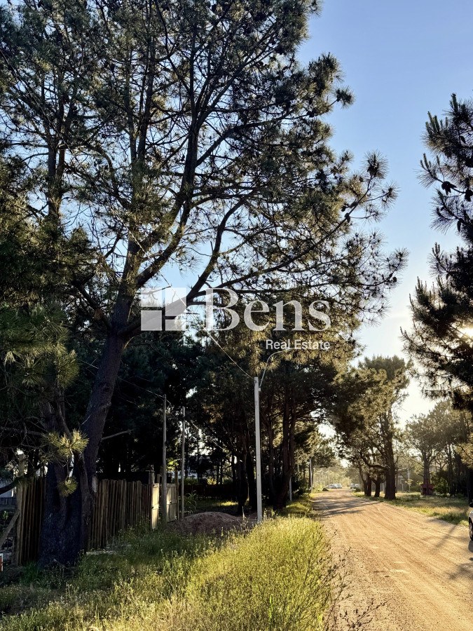 Terreno ID.517 - VENTA - LOTE EXCELENTE UBICACIÓN - FRENTE AL MAR - PUNTA PINAR - EL PINAR