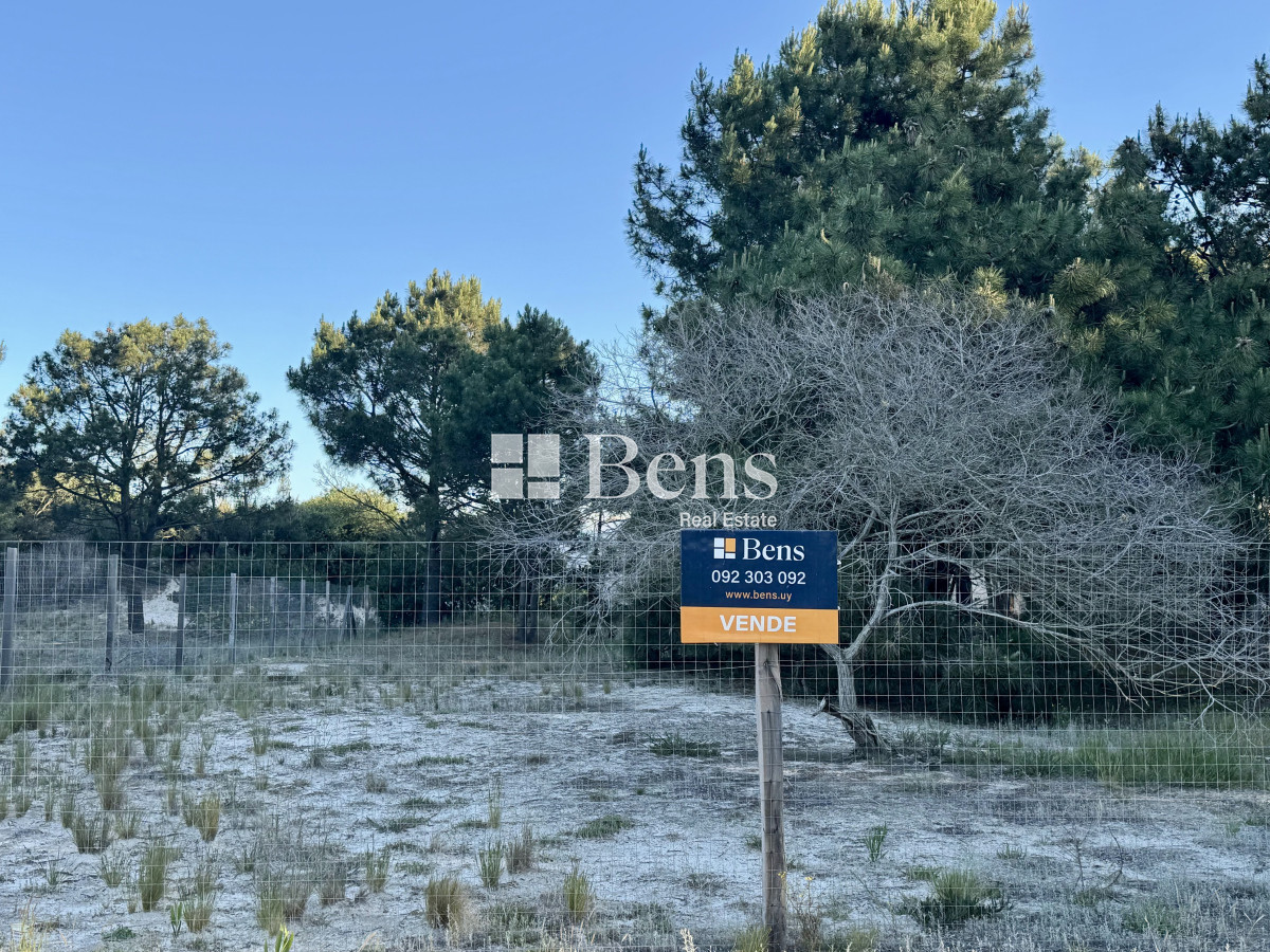 Terreno ID.517 - VENTA - LOTE EXCELENTE UBICACIÓN - FRENTE AL MAR - PUNTA PINAR - EL PINAR