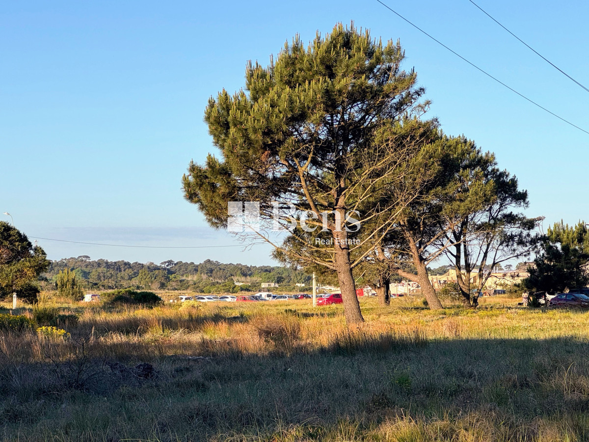 Terreno ID.517 - VENTA - LOTE EXCELENTE UBICACIÓN - FRENTE AL MAR - PUNTA PINAR - EL PINAR