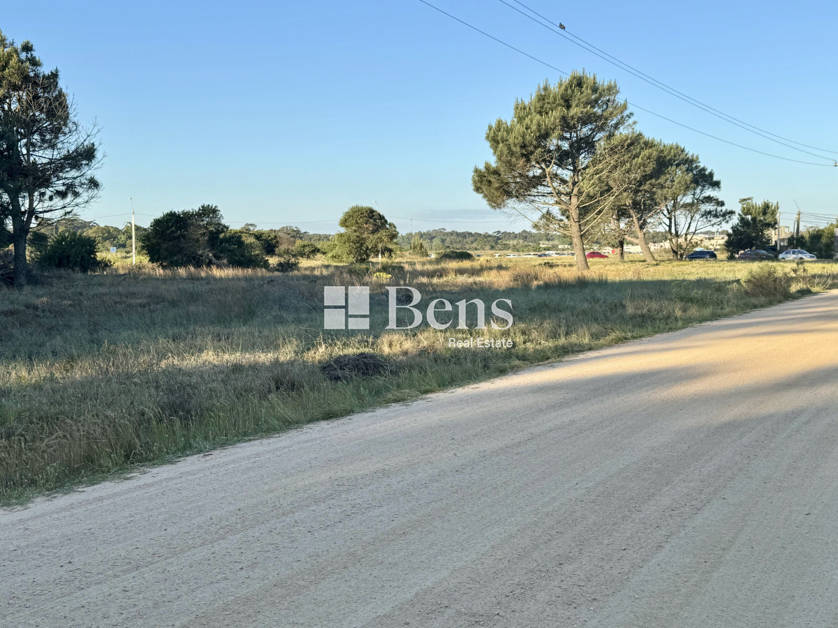 Terreno ID.517 - VENTA - LOTE EXCELENTE UBICACIÓN - FRENTE AL MAR - PUNTA PINAR - EL PINAR