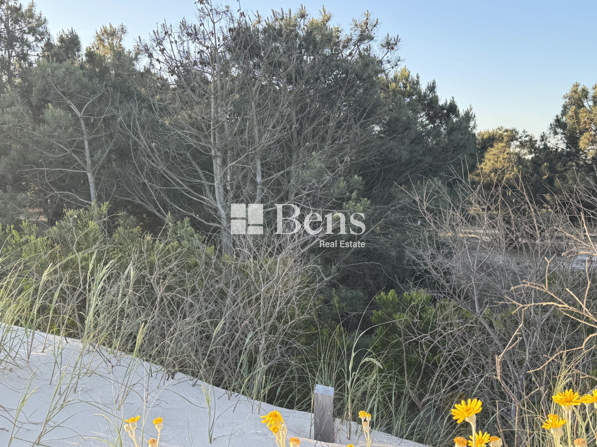 Terreno ID.517 - VENTA - LOTE EXCELENTE UBICACIÓN - FRENTE AL MAR - PUNTA PINAR - EL PINAR