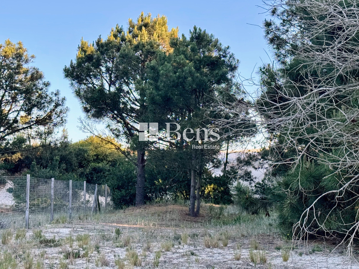 Terreno ID.517 - VENTA - LOTE EXCELENTE UBICACIÓN - FRENTE AL MAR - PUNTA PINAR - EL PINAR