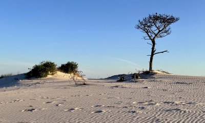 VENTA - LOTE EXCELENTE UBICACIÓN - FRENTE AL MAR - PUNTA PINAR - EL PINAR