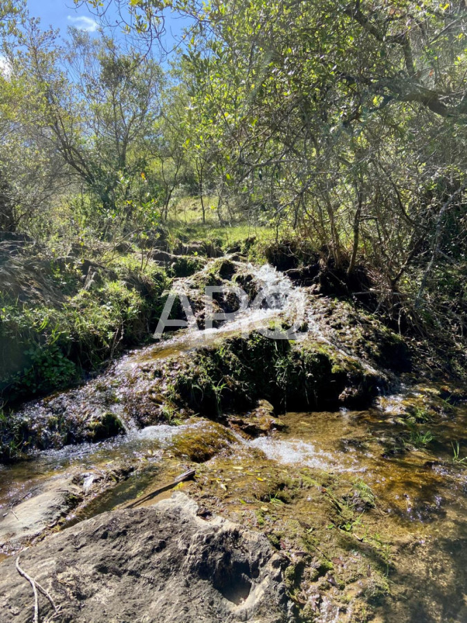 Chacra ID.663 - Se vende excepcional chacra en Villa Edén.