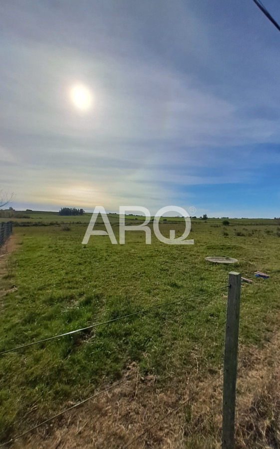 Chacra ID.460 - Chacra San jacinto-10 hectareas-Acepta permuta