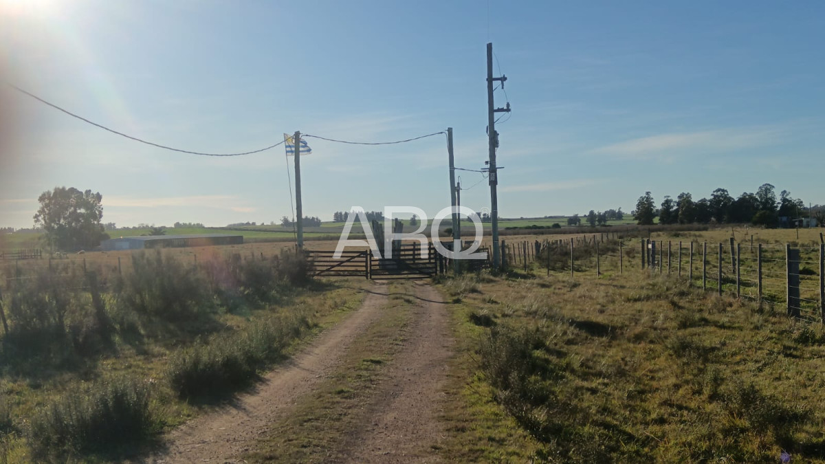 Chacra ID.460 - Chacra San jacinto-10 hectareas-Acepta permuta