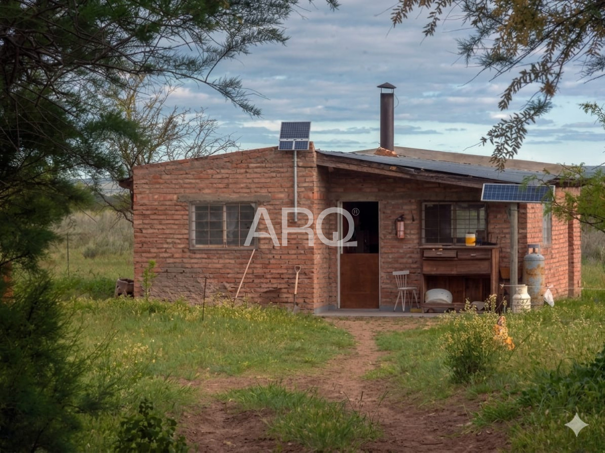Campo Ref.618 - COTO DE CAZA de 1435 has en Bernasconi (La Pampa), Argentina