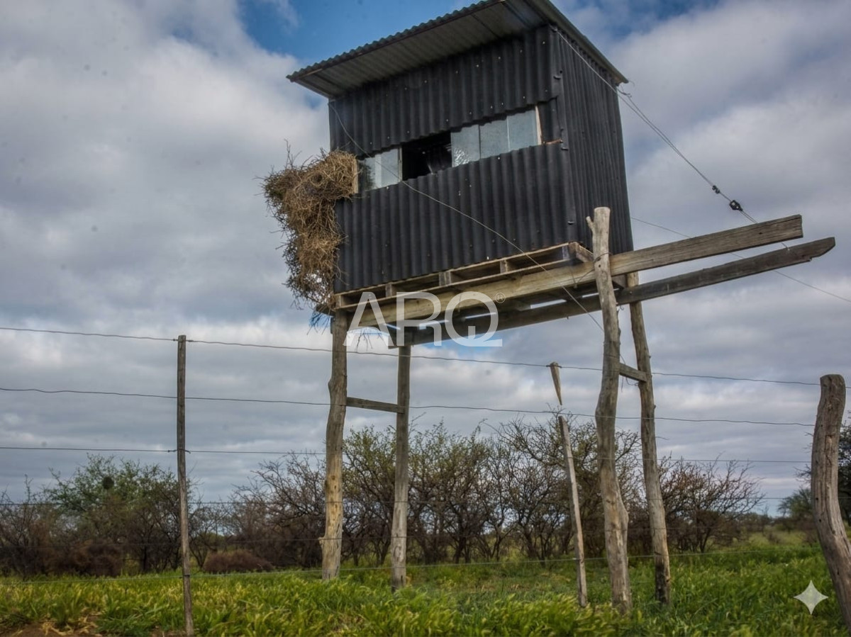 Campo Ref.618 - COTO DE CAZA de 1435 has en Bernasconi (La Pampa), Argentina