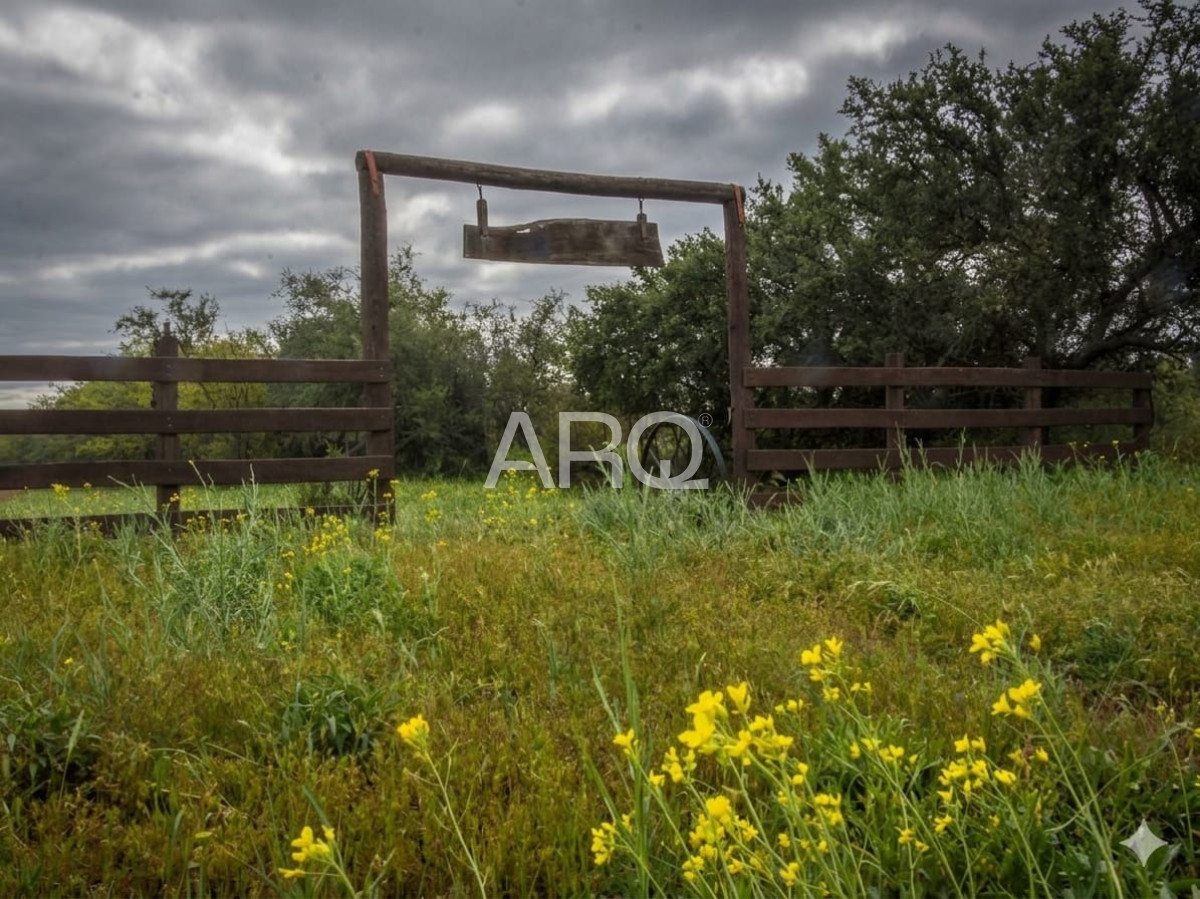 Campo Ref.618 - COTO DE CAZA de 1435 has en Bernasconi (La Pampa), Argentina