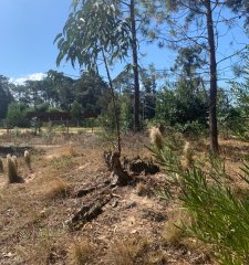 Terreno en venta en Beverly Hills, Punta del Este.