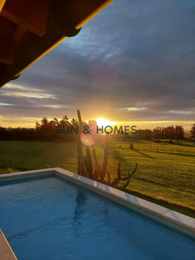 Chacra ID.133 - Venta en Ruta 12, chacra de 5 has, Laguna del Sauce con 750 olivos plantados y casa divina con 3 dormitorios mas casa de invitados .