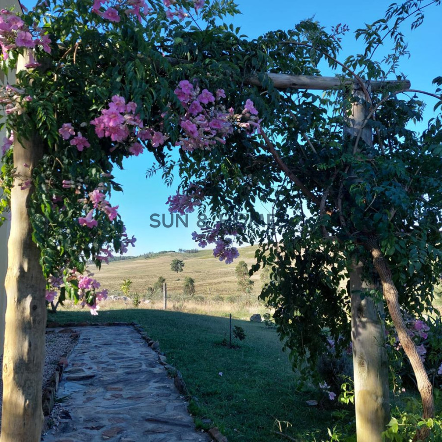 Chacra ID.133 - Venta en Ruta 12, chacra de 5 has, Laguna del Sauce con 750 olivos plantados y casa divina con 3 dormitorios mas casa de invitados .