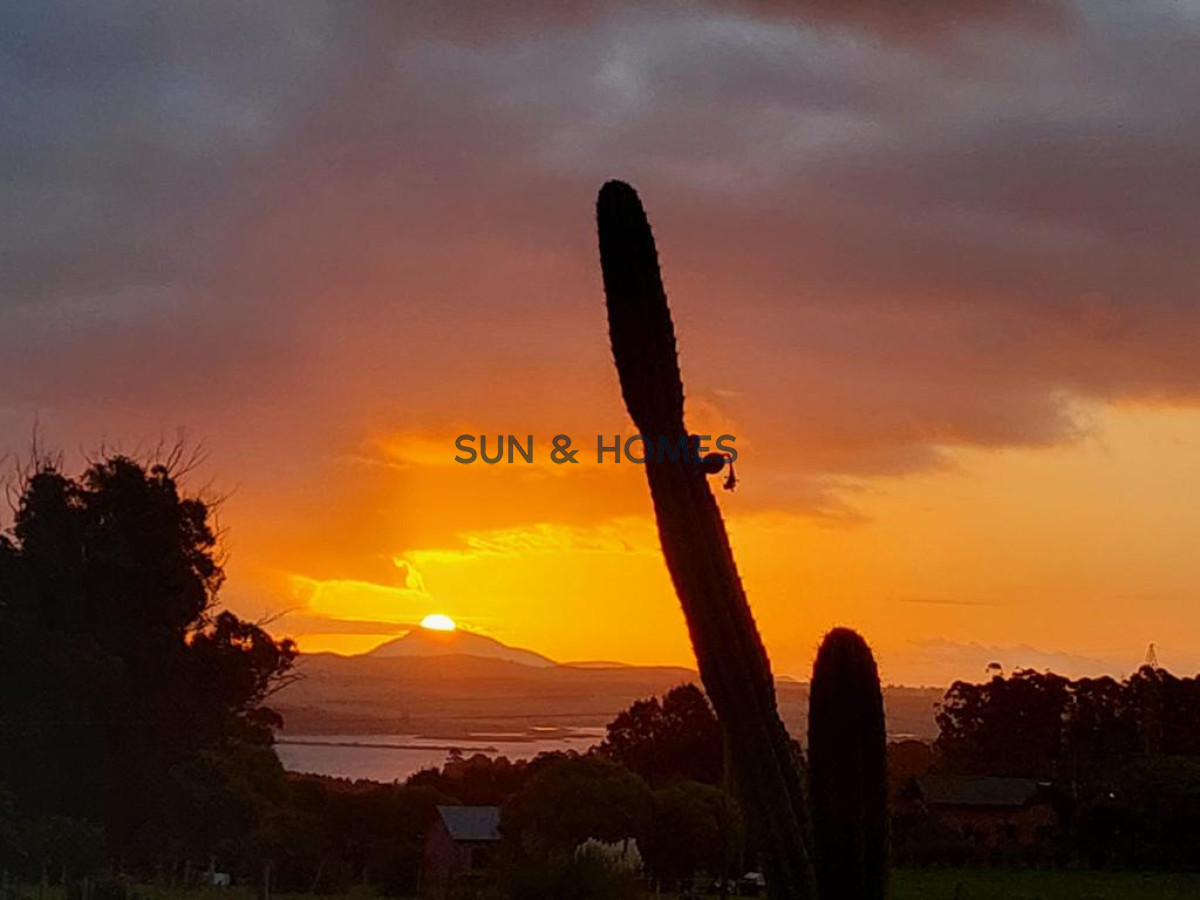 Chacra ID.133 - Venta en Ruta 12, chacra de 5 has, Laguna del Sauce con 750 olivos plantados y casa divina con 3 dormitorios mas casa de invitados .