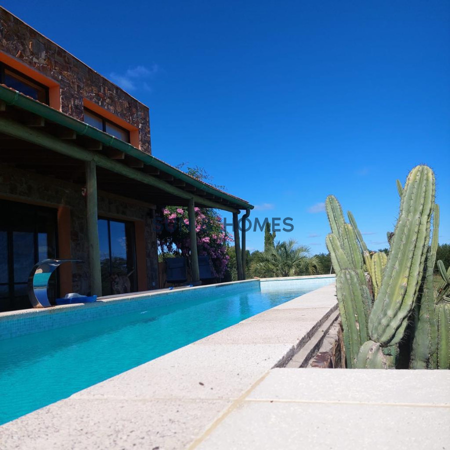 Chacra ID.133 - Venta en Ruta 12, chacra de 5 has, Laguna del Sauce con 750 olivos plantados y casa divina con 3 dormitorios mas casa de invitados .