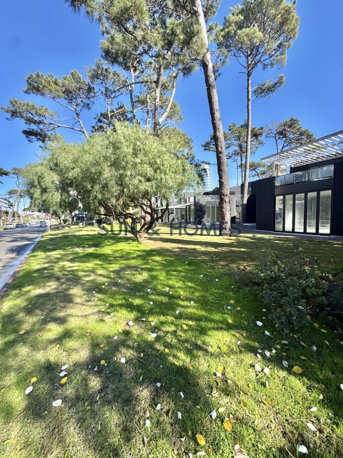 Local Comercial ID.458 - Espectacular local en alquiler de 37mts en una de las zonas mas lindas de Punta del Este. 