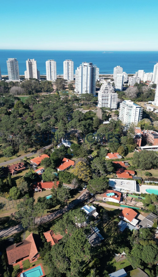 Local Comercial ID.435 - Extraordinario local en alquiler de 159 mts. en San Rafael,Punta del Este sobre Av Pedragosa Sierra