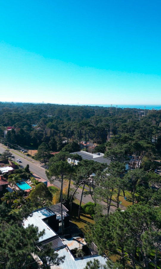 Local Comercial ID.458 - Espectacular local en alquiler de 37mts en una de las zonas mas lindas de Punta del Este. 