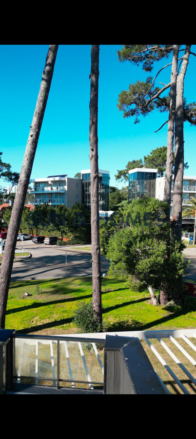 Local Comercial ID.435 - Extraordinario local en alquiler de 159 mts. en San Rafael,Punta del Este sobre Av Pedragosa Sierra