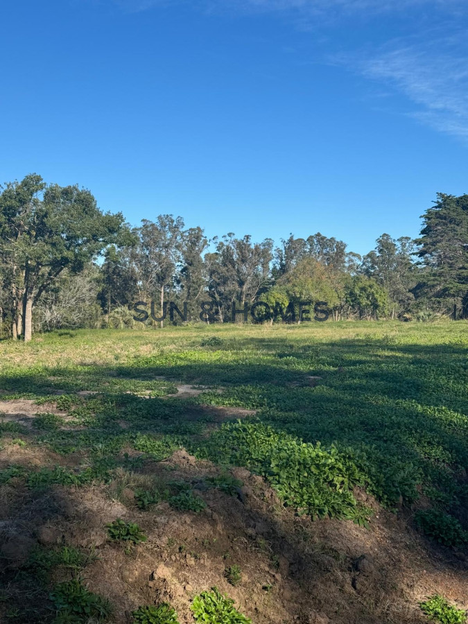 Terreno ID.287 - Oportunidad terrenos de 1.000 mts financiados hasta en 5 años en barrio cerrado con servicios en Punta Ballena
