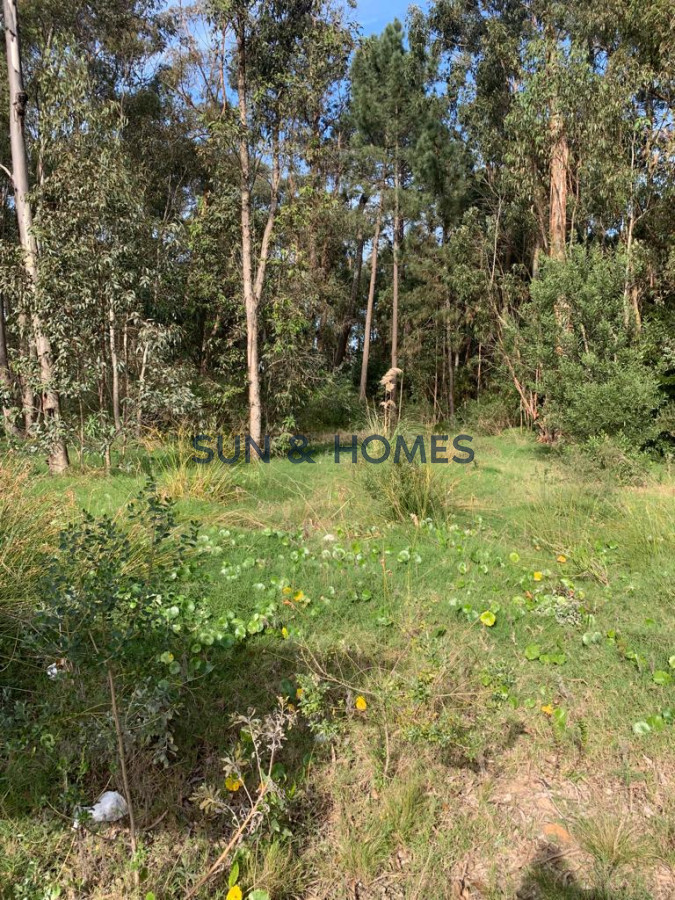 Terreno ID.141 - Espectacular terreno en venta de 1000 mts en Parque Burnett apto para planta baja y 4 pisos 