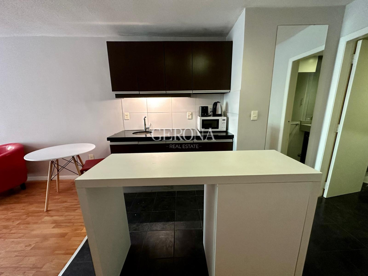 Apartamento ID.252 - Alquiler Monoambiente en Pocitos