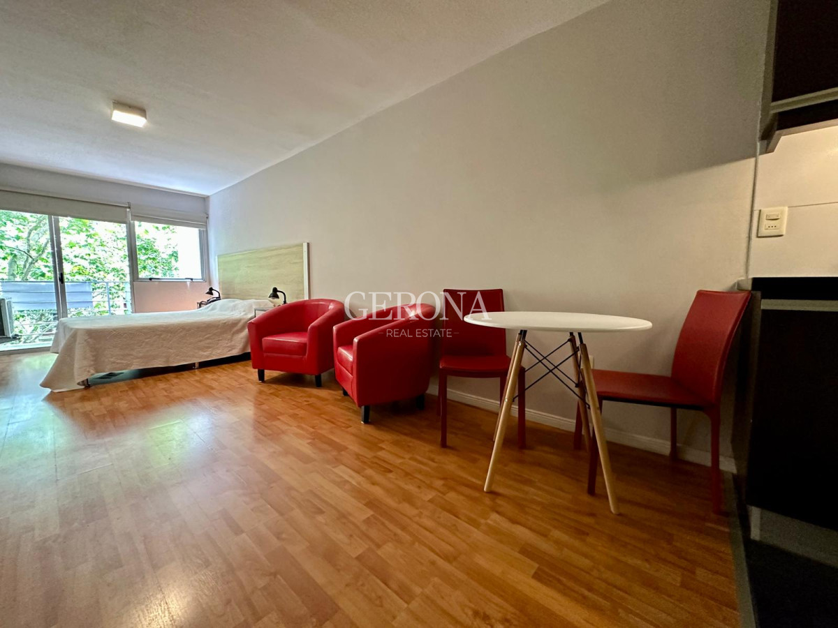 Apartamento ID.252 - Alquiler Monoambiente en Pocitos